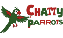 Chatty Parrots | Talking Parrots for sale