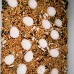 Buy Parrot Eggs In Bulk